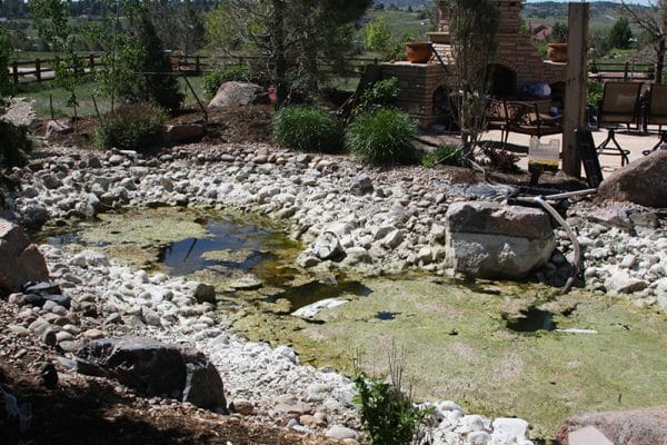 Pond in need of repair and cleaning